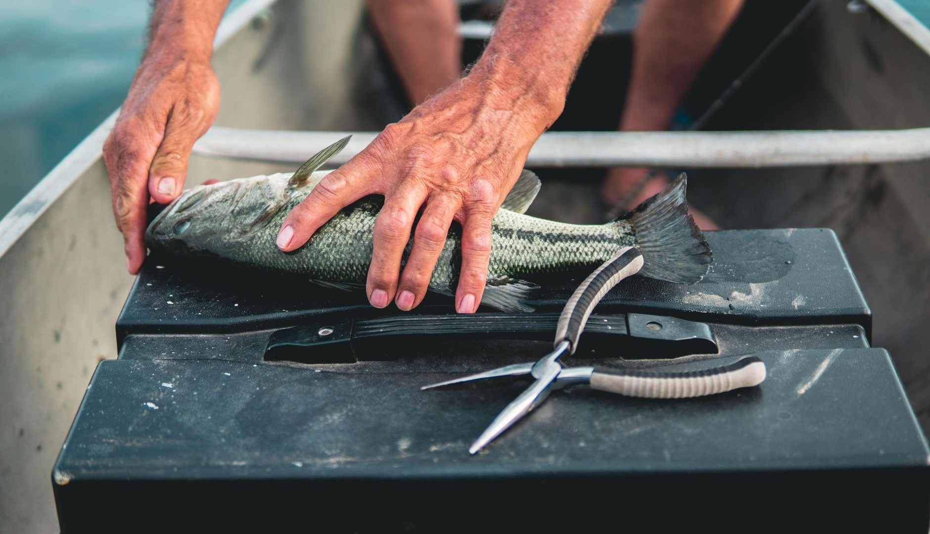 Dès septembre, comment maximiser vos prises à la pêche ?