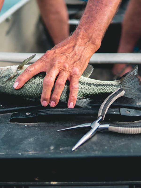 Dès septembre, comment maximiser vos prises à la pêche ?