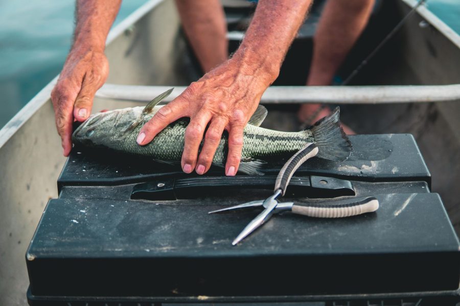 Dès septembre, comment maximiser vos prises à la pêche ?