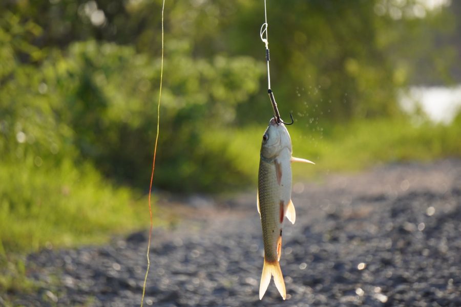 Challenge 1max2peche 2025 : Quelles spécificités pour les pêcheurs ?